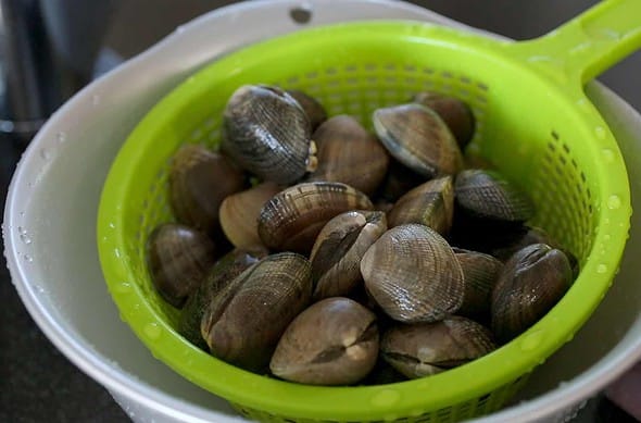 clam stew (jogaetang: 조개탕)