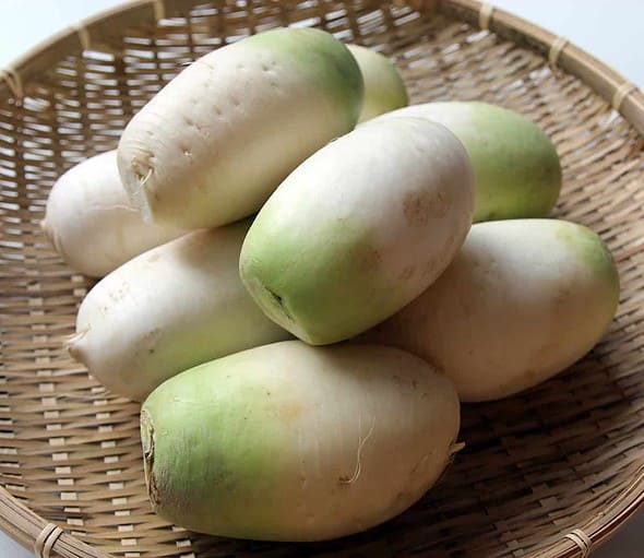 dongchimi radish