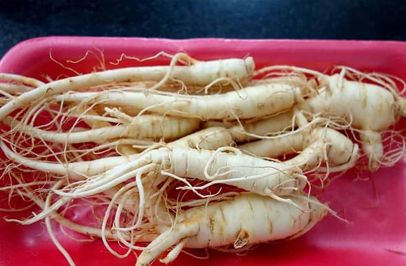 fresh-ginseng (susam: 수삼)