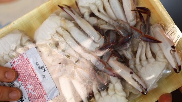 frozen-kkotge (frozen crabs: 냉동꽃게)