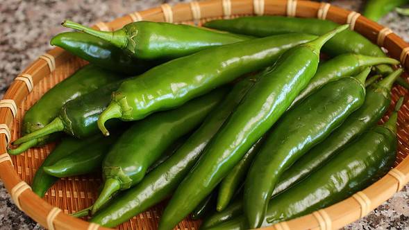 green chili peppers (asagi-gochu: 아삭이고추)