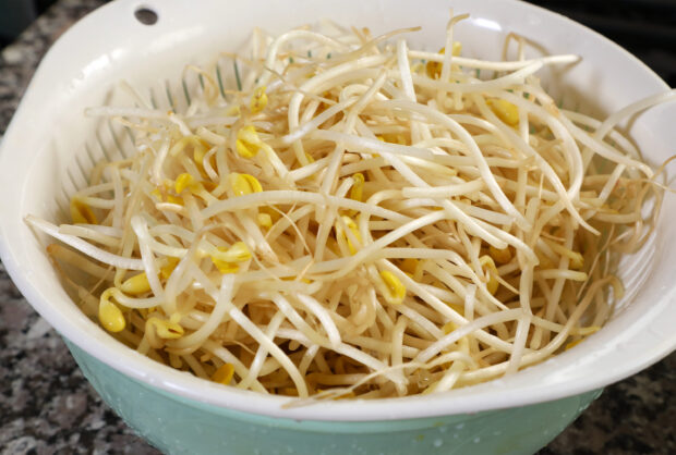 Kongnamul (soybean sprouts)