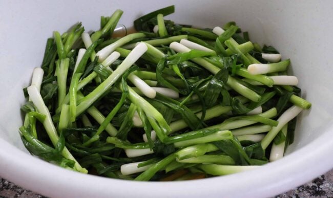 scallions salting