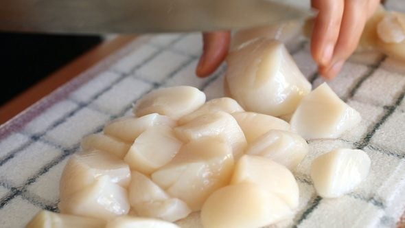 scallops